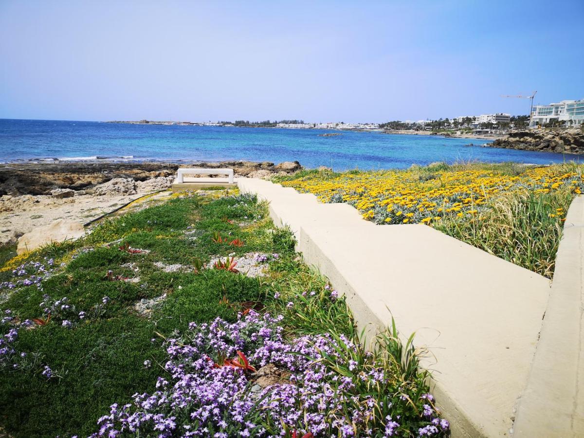 Tedy's Townhouse-margarita Gardens בית נופש